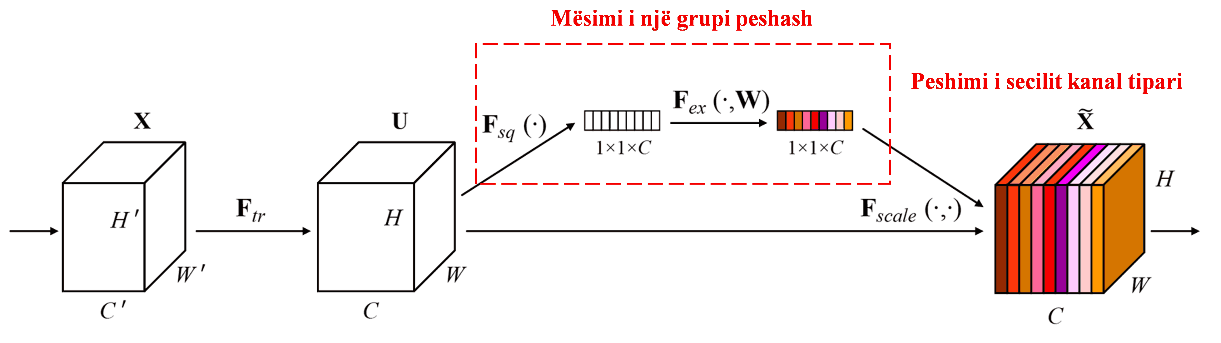 Squeeze-and-Excitation Network
